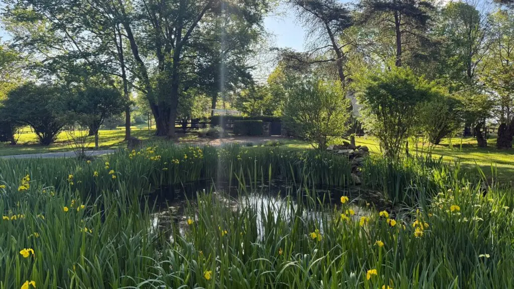 125fbc96 00fa 411d b75e 8b6b0987af7e