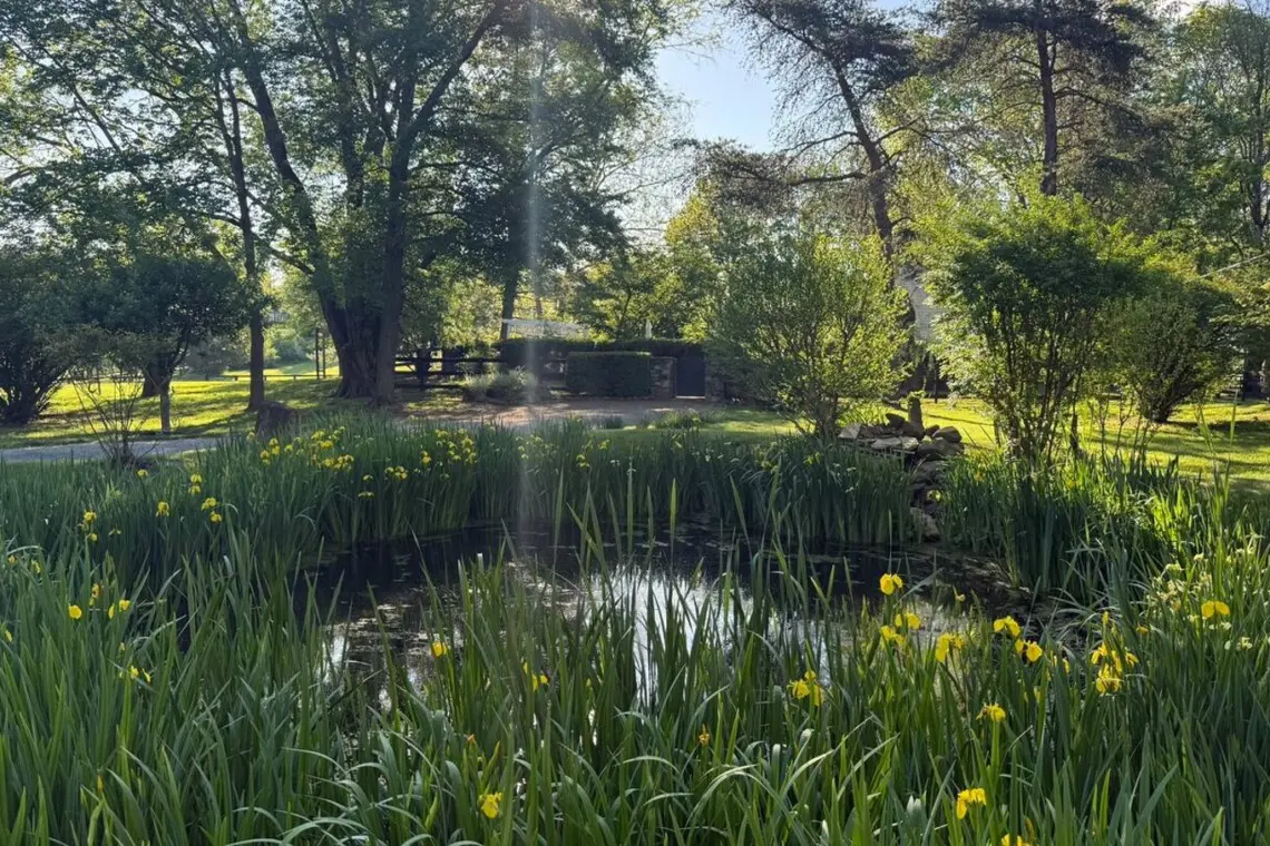 125fbc96 00fa 411d b75e 8b6b0987af7e