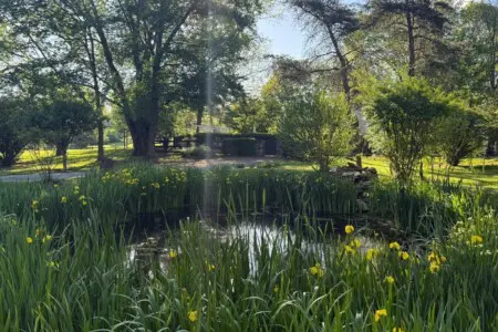 125fbc96 00fa 411d b75e 8b6b0987af7e