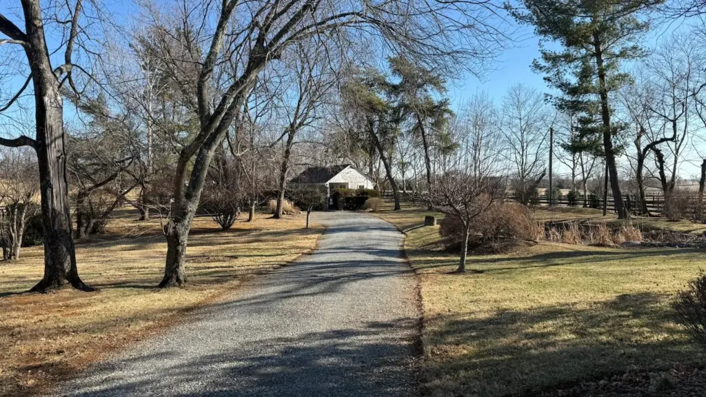 6555f42b dfe2 4688 ba84 0f9cdb69ff0e