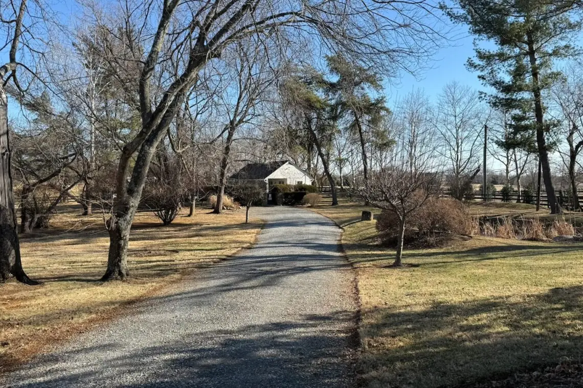 6555f42b dfe2 4688 ba84 0f9cdb69ff0e