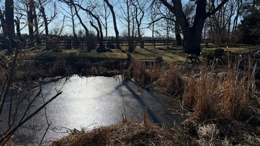 8c729705 3bd2 47d1 ad98 44410f65301c