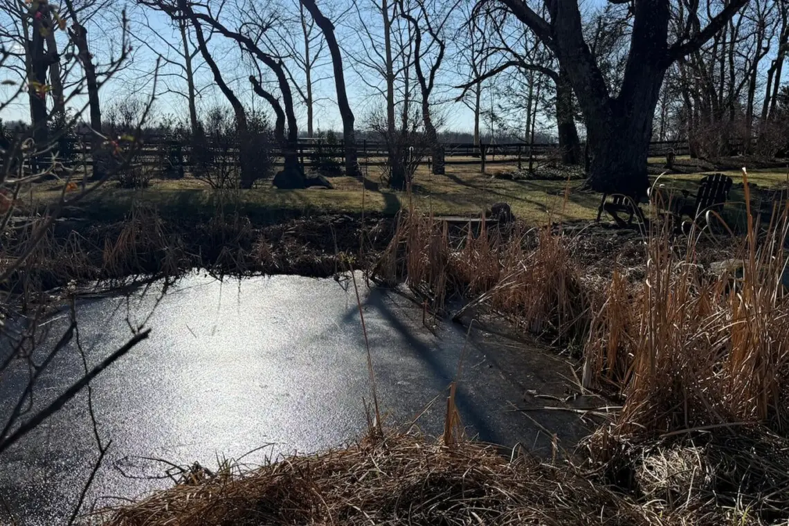 8c729705 3bd2 47d1 ad98 44410f65301c