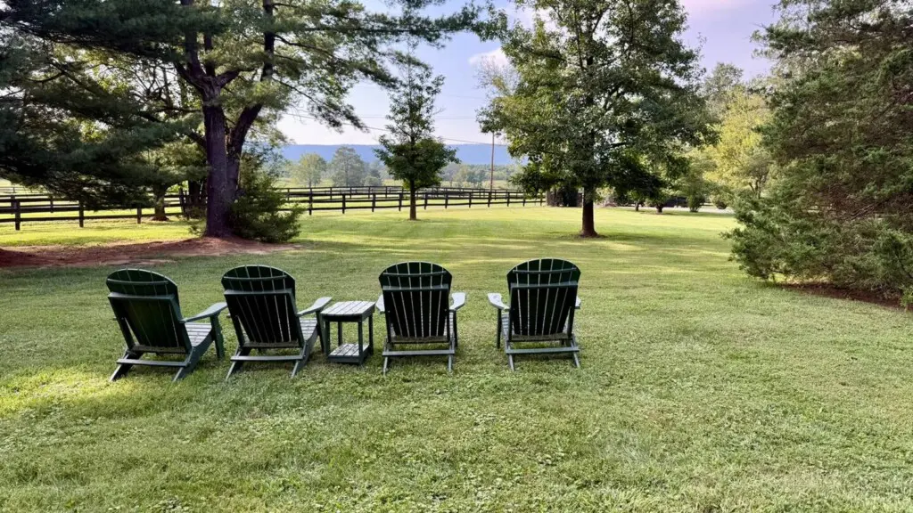 97a08521 1ab6 4808 b3c3 c0289c3bf5d9