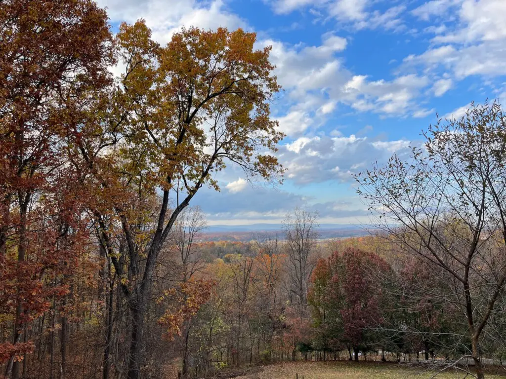 fd0087ca 02df 4de3 912c f1b0cfcb6fac