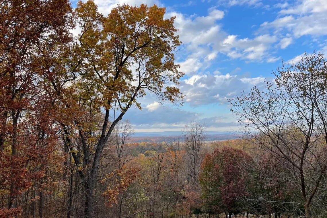 fd0087ca 02df 4de3 912c f1b0cfcb6fac