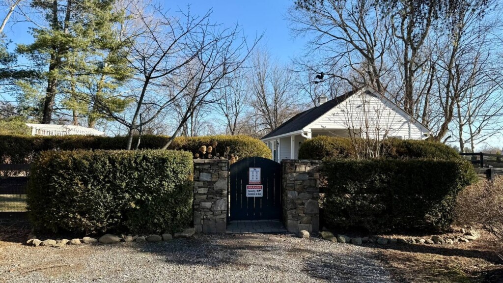 3db9b63c d3d5 4d79 9edf a9d8369d4a06